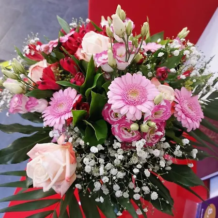 Touristik فندق نوينبورغ أم راين